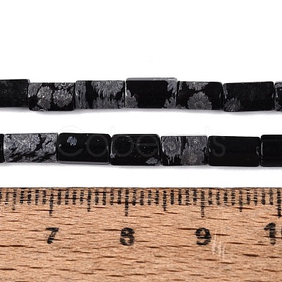 Natural Snowflake Obsidian Beads Strands GG-N002-01A-05-1