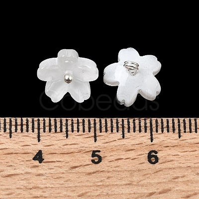 Glass Charms GLAA-G127-05J-1