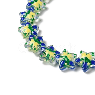 Handmade Lampwork Beads Strands LAMP-K037-15C-1