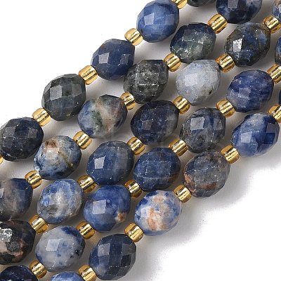 Natural Sodalite Beads Strands G-F809-A19-01A-1