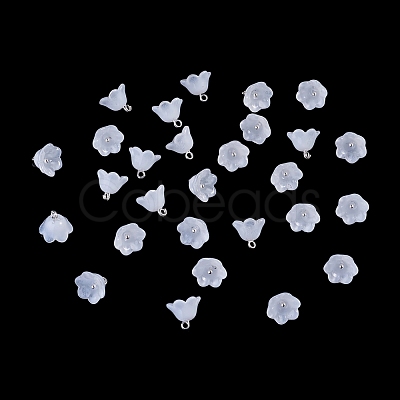 38Pcs Glass Charms GLAA-TADJ0001-19F-1