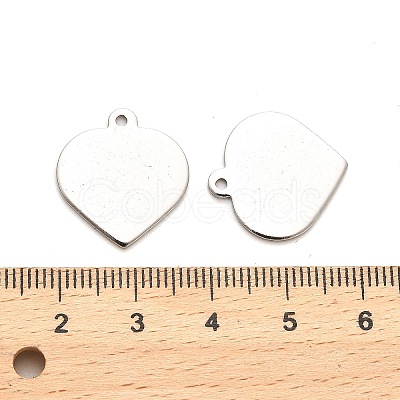 Non-Tarnish Stainless Steel Pendants STAS-L276-01P-06-1