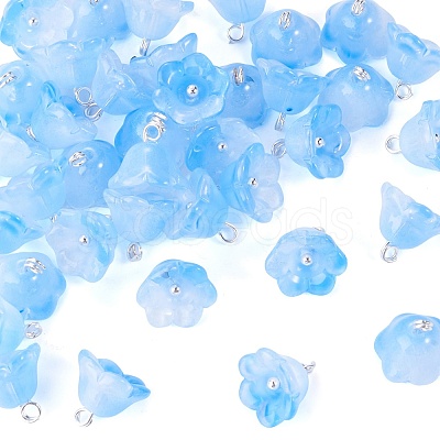 38Pcs Glass Charms GLAA-TADJ0001-19A-1
