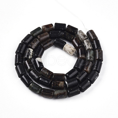 Natural Biotite Beads Strands G-T140-57-1