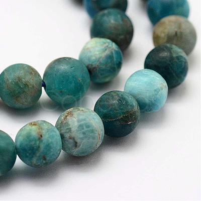 Natural Apatite Beads Strands G-K193-8mm-12-1