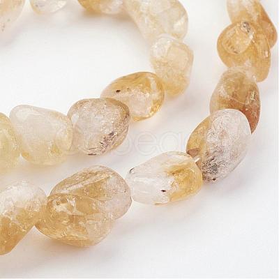 Natural Citrine Bead Strands G-G950-S-07-1