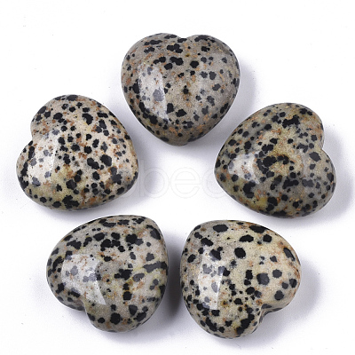 Natural Dalmatian Jasper Healing Stones G-R418-26-2-1