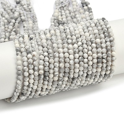 Natural Howlite Beads Strands G-C181-B03-02-1