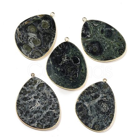 Natural Kambaba Jasper Pendants G-K347-02G-01-1