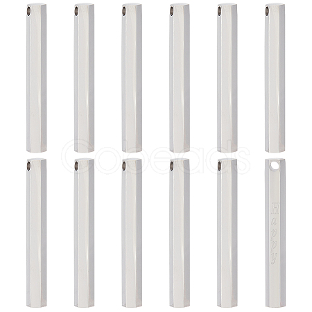 12Pcs Stainless Steel Pendants STAS-BC0003-70-1