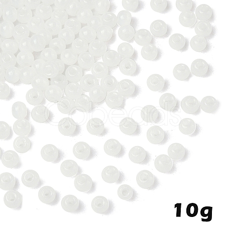 10G Glass Seed Beads SEED-YW0003-03I-1