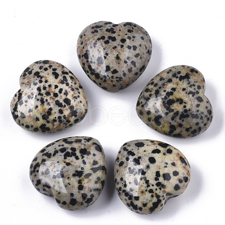 Natural Dalmatian Jasper Healing Stones G-R418-26-2-1