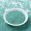 MIYUKI Round Rocailles Beads X-SEED-G007-RR4475-2