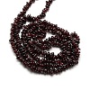 Natural Garnet Beads Strands X-G-P035-18-3