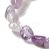 Natural Amethyst Beads Strands G-B078-D12-01-4