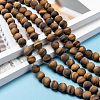 Natural Frosted Tiger Eye Round Bead Strands G-M064-10mm-02-5