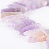 Natural Amethyst Gemstone Bead Strands G-E242-01-1