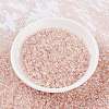 MIYUKI Round Rocailles Beads SEED-X0055-RR0365-2