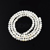 Natural White Shell Bead Strands SSHEL-N003-144C-01-2
