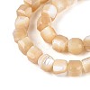 Natural Trochid Shell/Trochus Shell Beads Strands BSHE-T014-52B-01-3