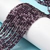 Transparent Glass Beads Strands GLAA-H027-01A-2
