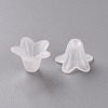 Transparent Acrylic Beads PLF018-01-2