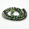 Natural Moss Agate Round Bead Strands G-N0120-30-8mm-4