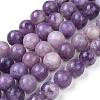 Natural Lepidolite/Purple Mica Stone Beads Strands G-K415-8mm-5