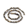 Natural Dalmatian Jasper Beads Strands G-B039-03B-2