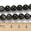 Natural Silver Obsidian Beads Strands G-S150-20A-10MM-5
