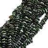 Natural Seraphinite Beads Strands G-E569-K02-1