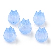 Transparent Acrylic Beads OACR-K005-13-2