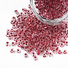 8/0 Transparent Glass Seed Beads SEED-F003-03B-03-1