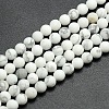 Frosted Howlite Round Bead Strands G-M064-12mm-12-1