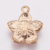 Zinc Alloy Enamel Pendants X-PALLOY-I124-10G-E-2