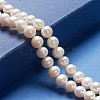 Natural Cultured Freshwater Pearl Beads Strands PEAR-R063-16-5