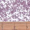 MIYUKI Delica Beads X-SEED-J020-DB0800-4