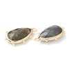 Natural Labradorite Pendants G-B009-02G-G-2
