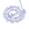 Natural Blue Lace Agate Beads Strands G-Z091-A37-2