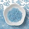 Glass Seed Beads SEED-H002-E-A1414-2