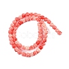 Synthetic Shell Dyed Carved Beads Strands SHEL-C008-01-2