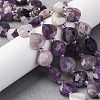 Natural Amethyst Beads Strands G-P570-E17-02-1