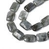 Natural Labradorite Beads Strands X-G-T121-13-5