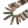 Natural Picasso Stone/Picasso Jasper Beads Strands G-S355-19-01-4