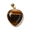 Natural Tiger Eye Pendants G-K335-04G-14-2
