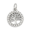 Brass Micro Pave Clear Cubic Zirconia Charms KK-G522-46P-1