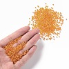 12/0 Round Glass Seed Beads SEED-US0003-2mm-169-4