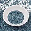 MIYUKI Delica Beads SEED-MY11-DB2316-2