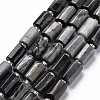Natural Hawk's Eye Beads Strands X-G-S345-8x11-009-1