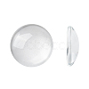 Transparent Glass Cabochons X-GGLA-R026-16mm-1